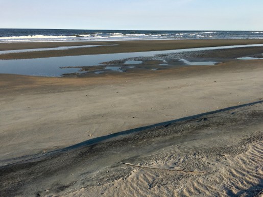 Beach off Hobcaw Barony